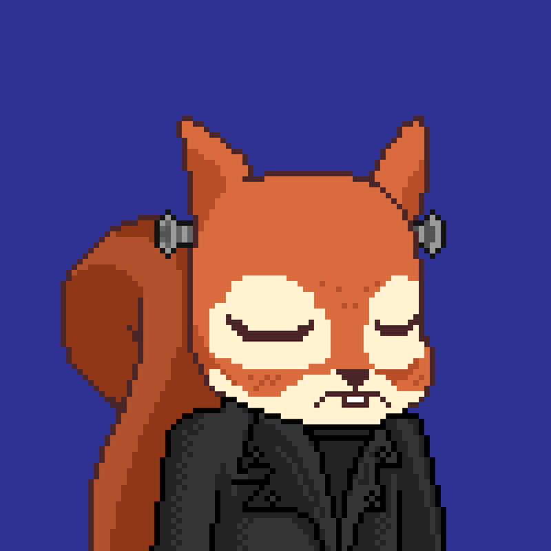 Pixel Squirrels #6500